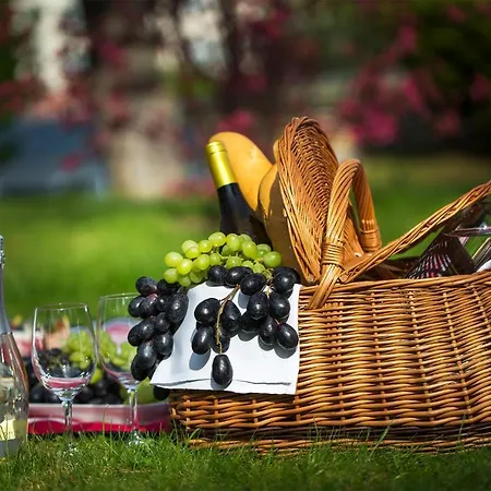 Bristol Tereza Hotell